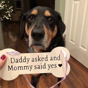 Meet your Posher, Gillian